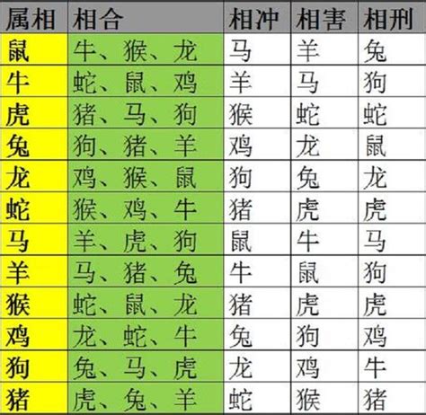 生肖相克化解|揭秘十二生肖的微妙平衡：化解属相相克的智慧之道